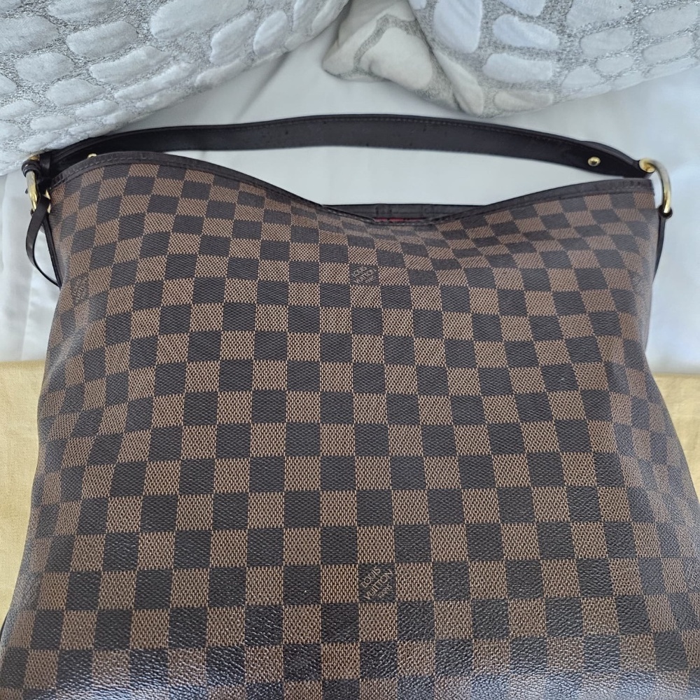 Louis Vuitton Damier Ebene Delightful Bag- PM Size - Functional, Classic Beauty!